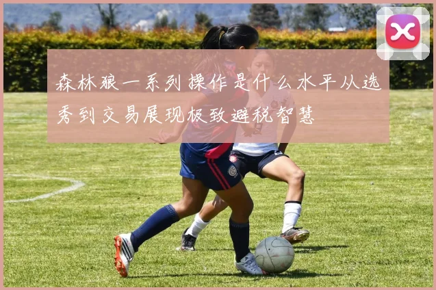 森林狼一系列操作是什么水平从选秀到交易展现极致避税智慧