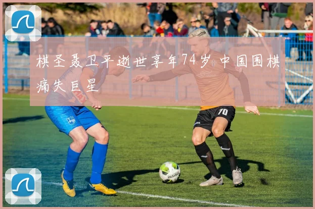 棋圣聂卫平逝世享年74岁 中国围棋痛失巨星