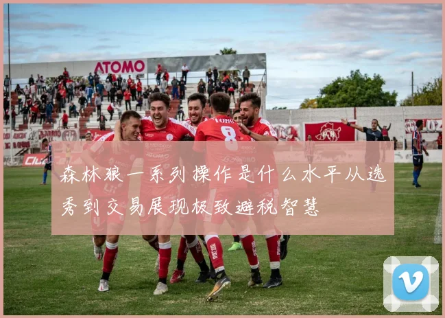 森林狼一系列操作是什么水平从选秀到交易展现极致避税智慧