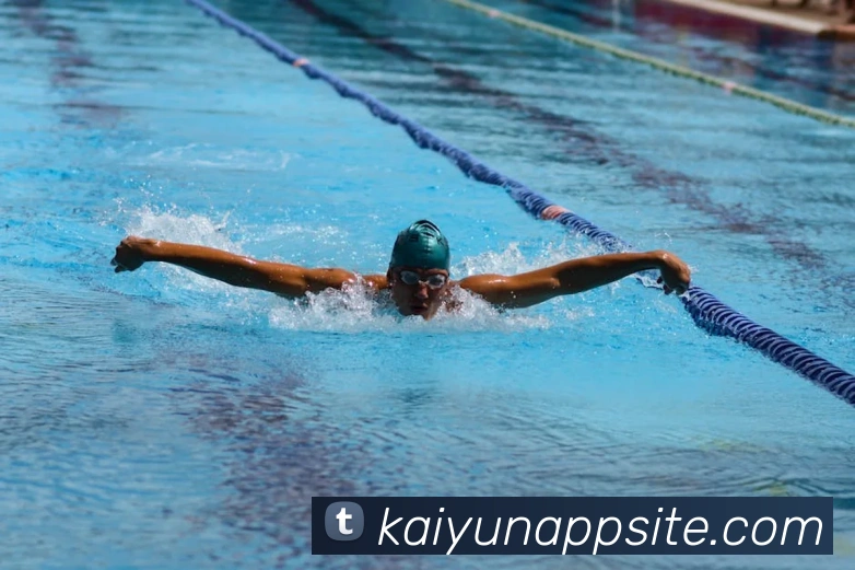 App Interface Preview