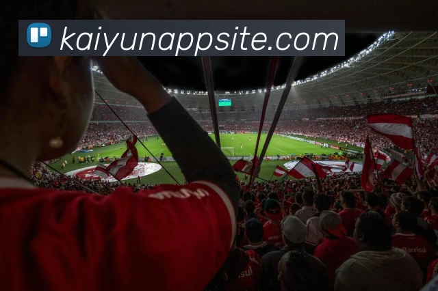 开云体育APP 封面图